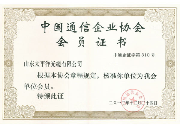 China Communications Enterprises Association - Membership Certificate